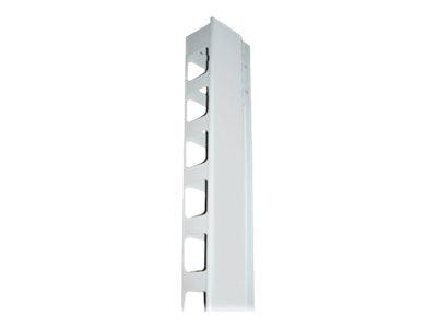 Intellinet - Rack cable management panel - gray, RAL 7035 - 26U - 19 (pack of 2)"