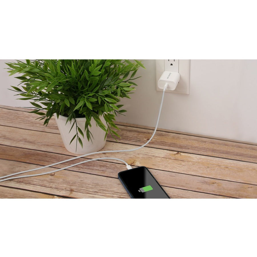 Iogear 20W Usb-C Smartphone Charger