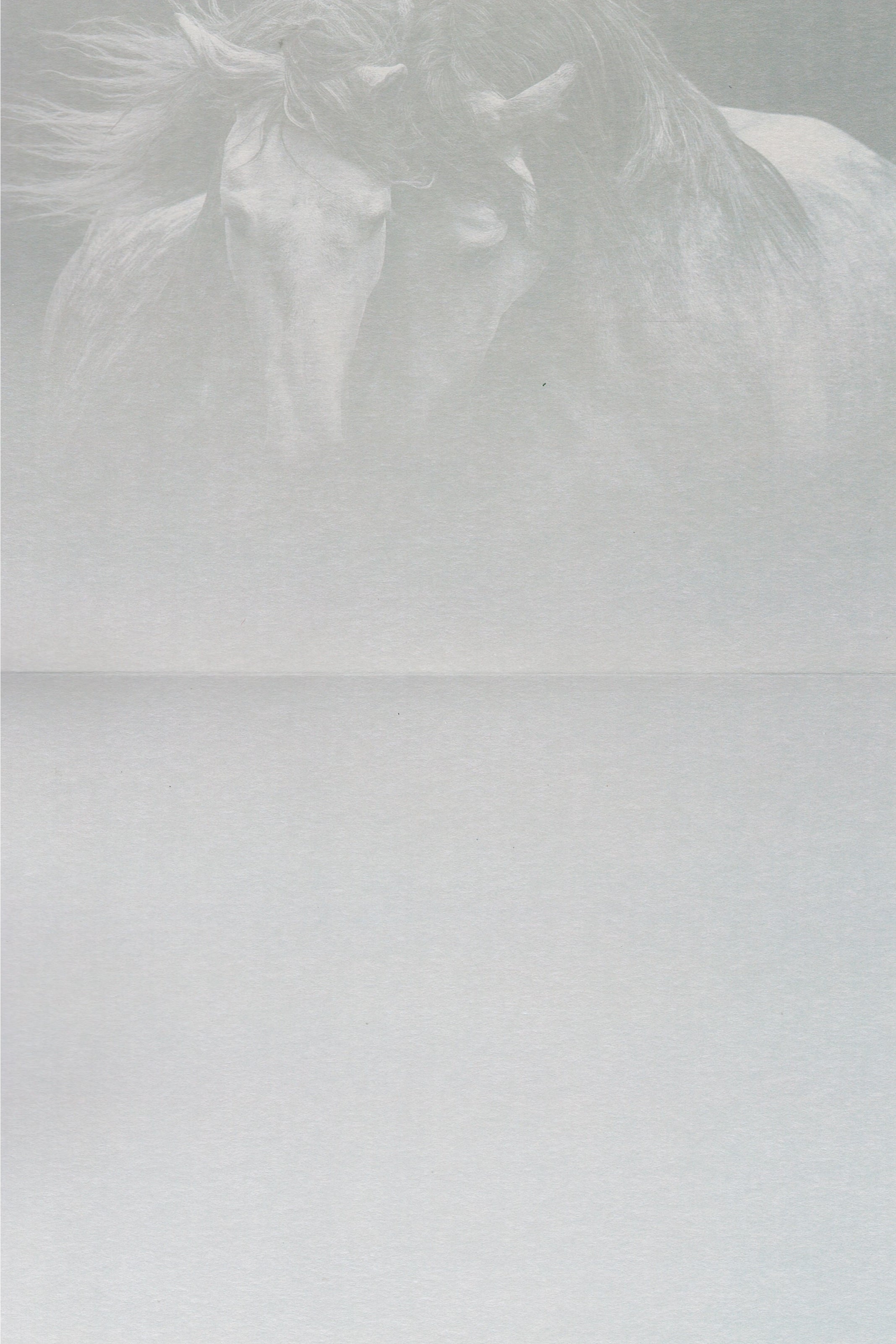 Kindred Spirits Greeting Card - Blank Card