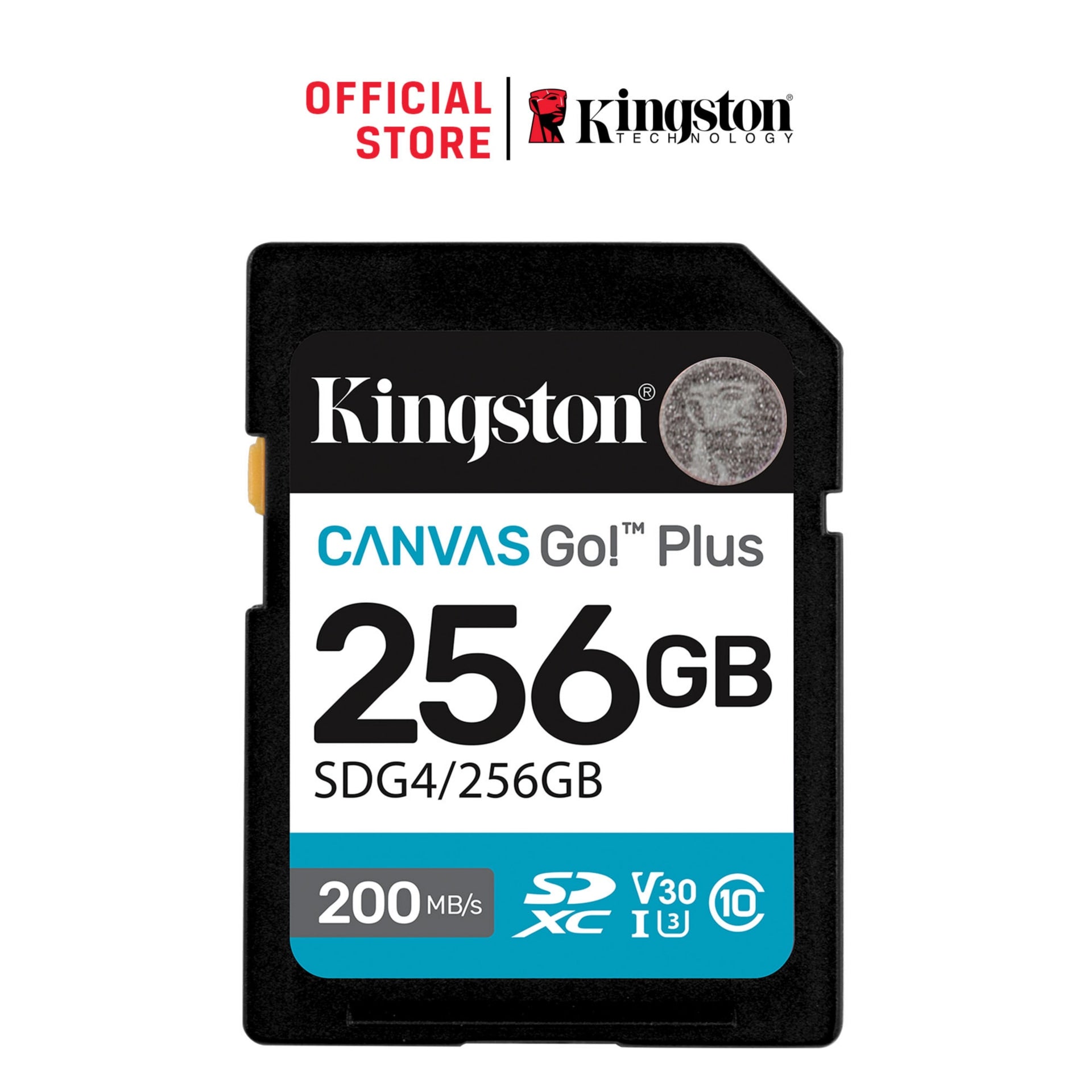 Kingston SDG4 256GB SDXC Memory Card - Fast, Reliable Storage for Creators