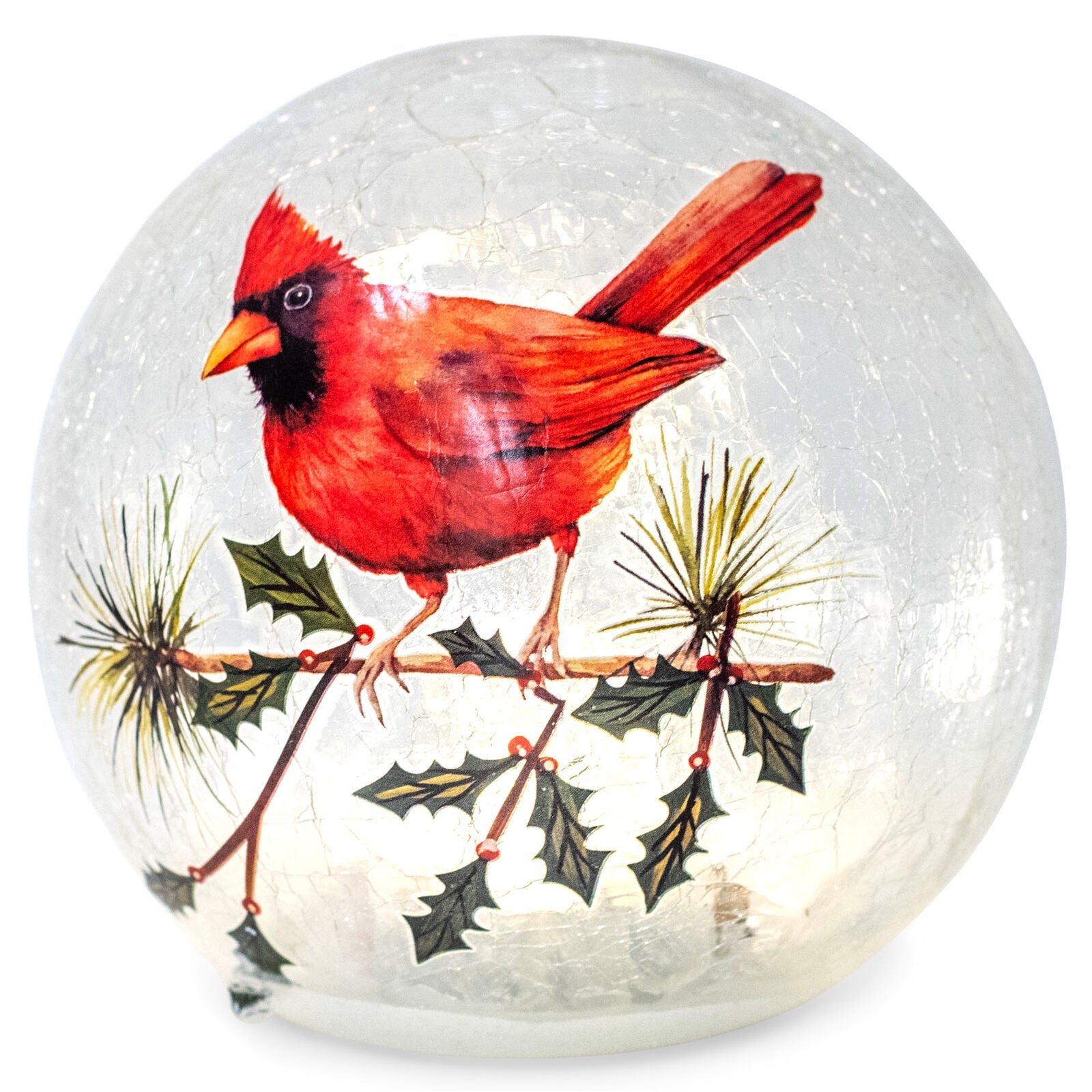LED Cardinal and Holly Globe