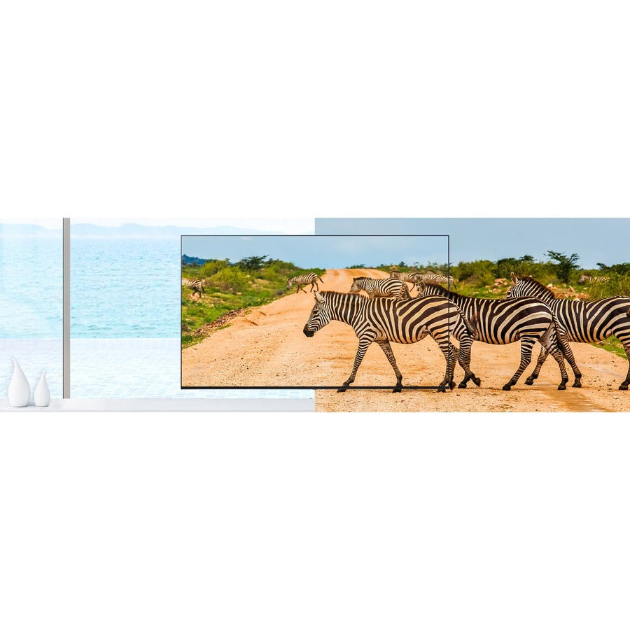 LG Hospitality UR577H9 65UR567H9UD 65" Smart LED-LCD TV - 4K UHDTV