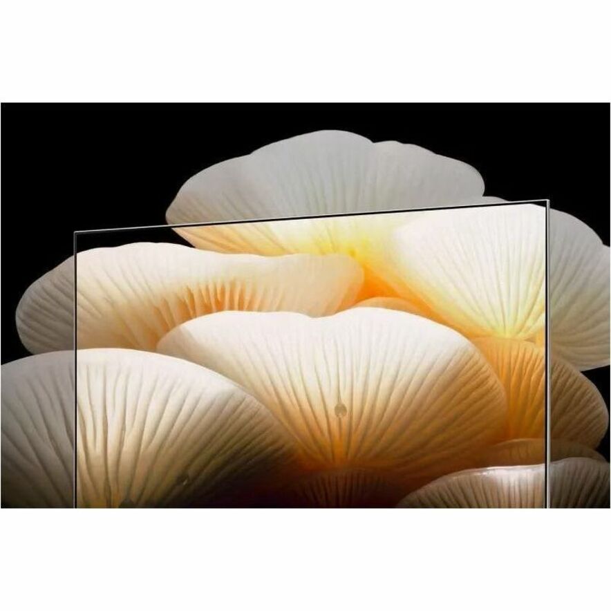 LG Objet Collection Pos&eacute; 48LX1QPUA 48 Smart OLED TV - 4K UHDTV - Google Assistant A