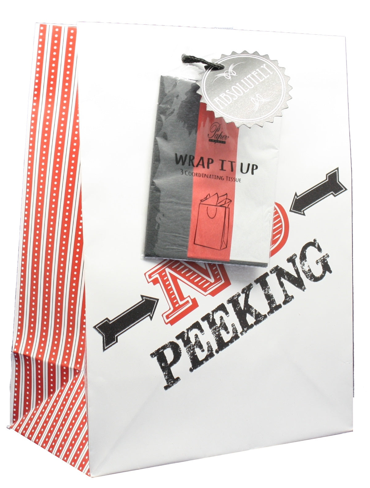 Large Gift Bag With Tissue - North Pole