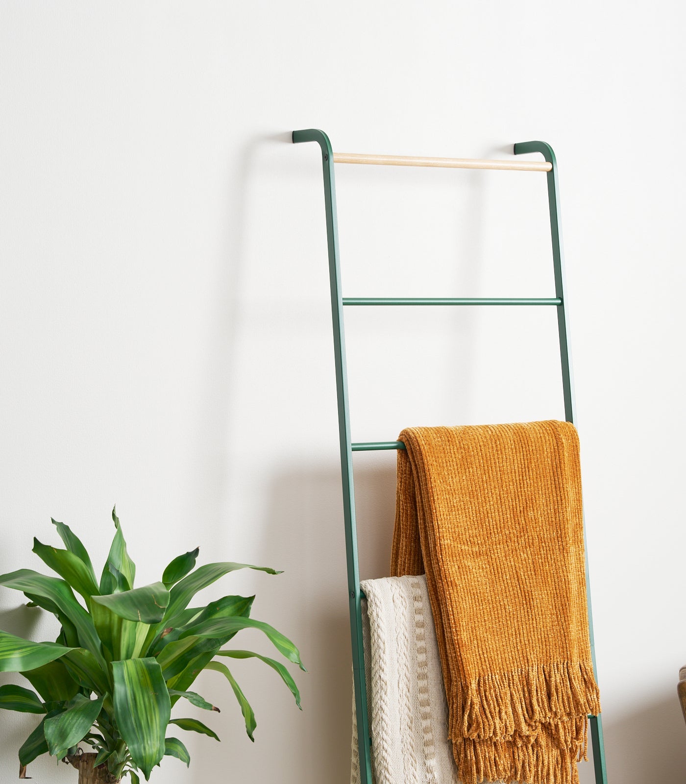 Leaning Storage Ladder - Two Styles - Steel