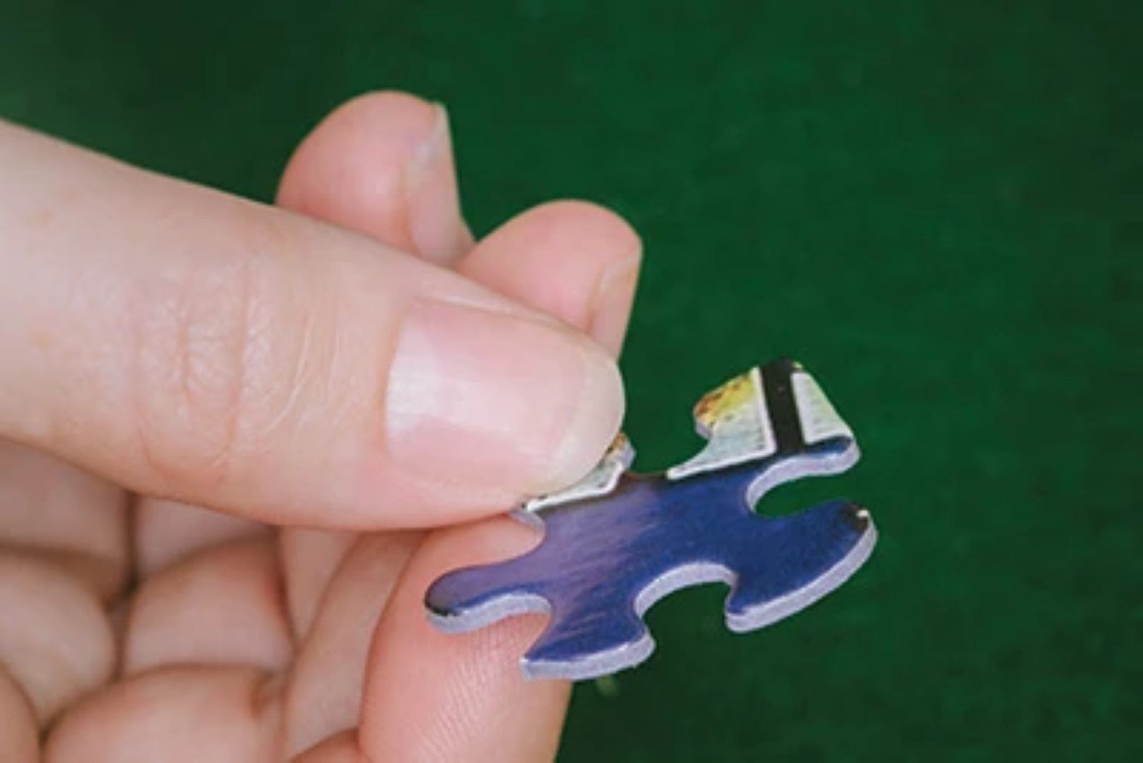 Let's Dance - 1000 Piece Jigsaw Puzzle