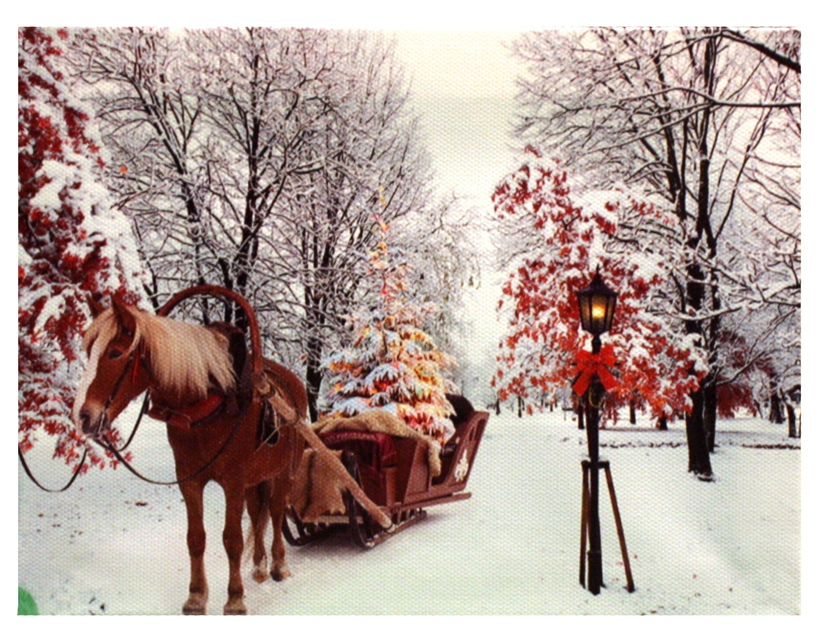 Lighted Canvas Print - Horse Drawn Carriage With Christmas Tree