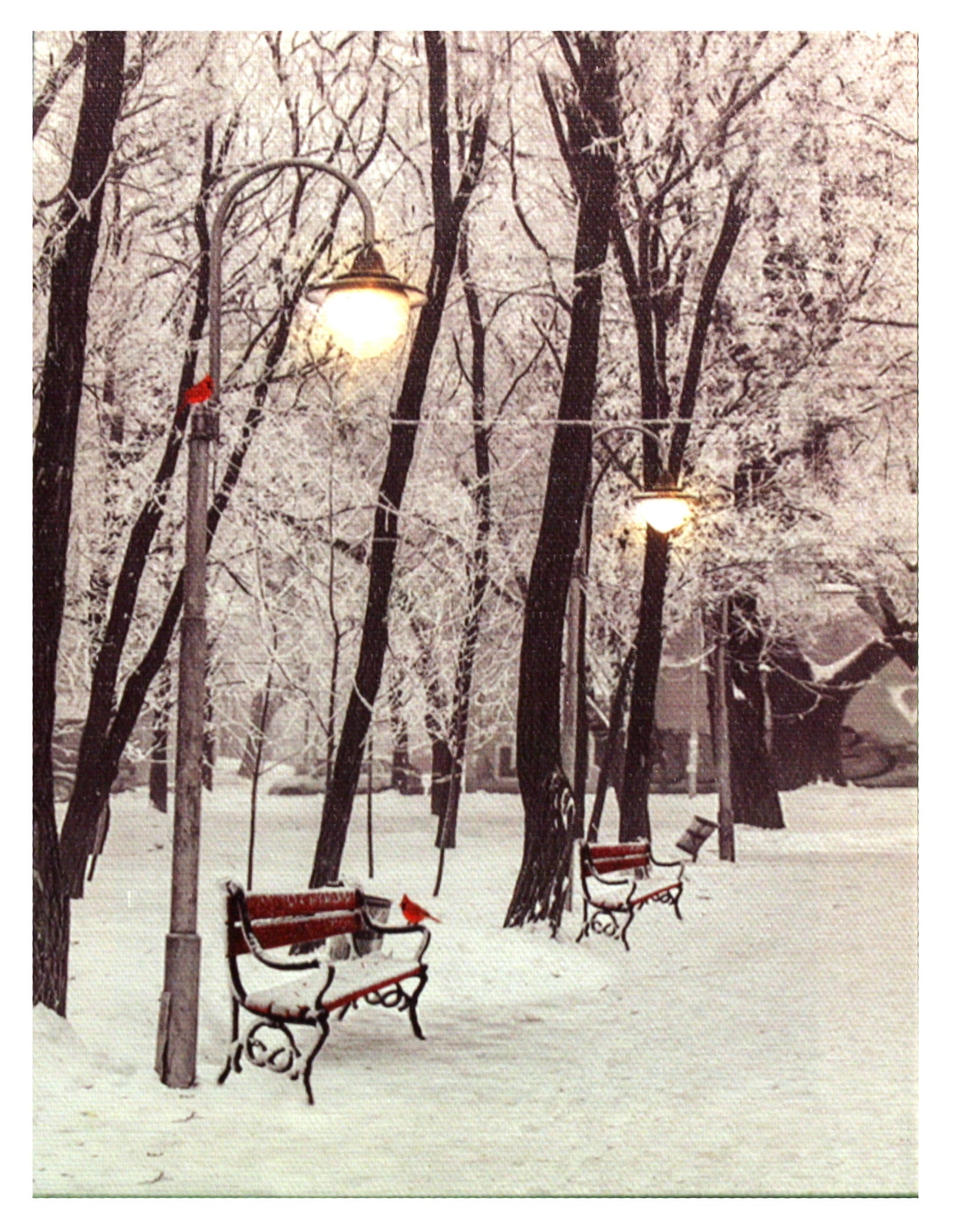 Lighted Canvas Print - Winter Park Bench