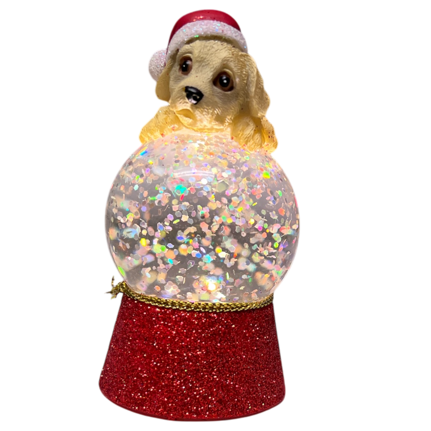 Lighted Lab Snowglobe