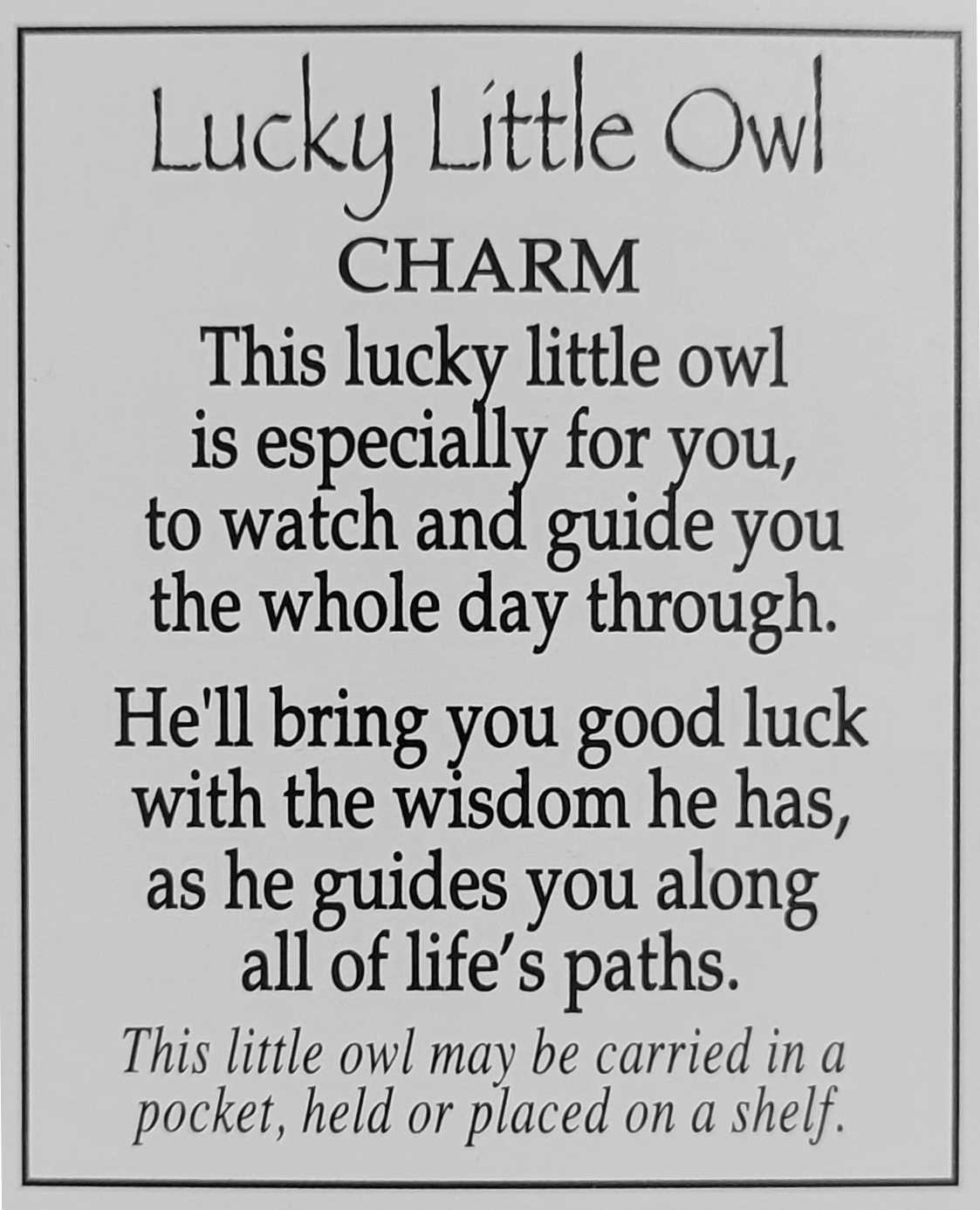 Lucky Little Owl Charm