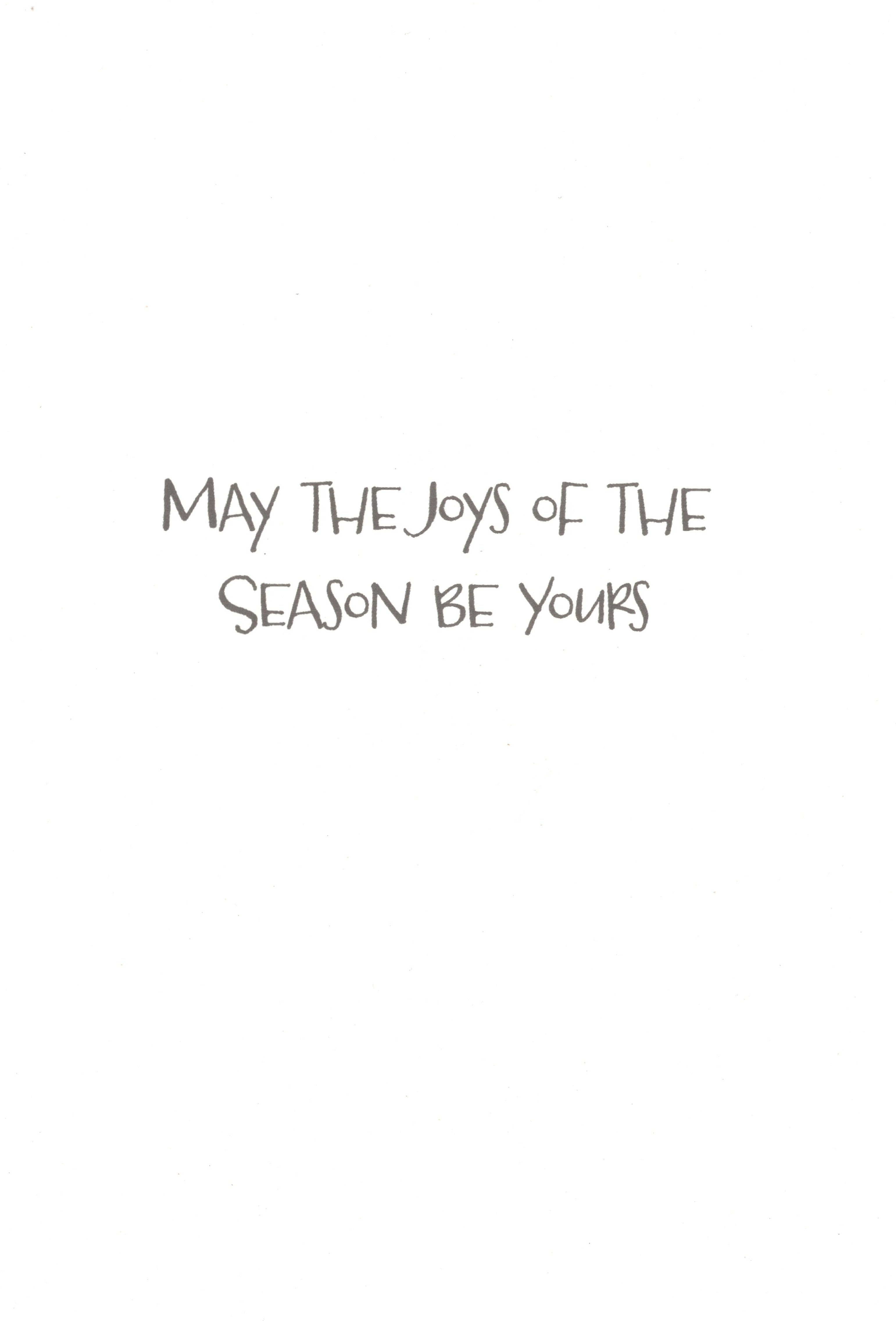 Luxury Favorites - 18 Count Boxed Cards - Noel