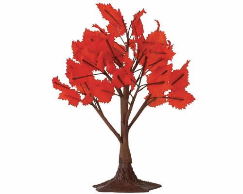 Maple Tree - 6"