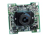 Marshall V-1205 - Surveillance camera - B&W - auto iris - DC 12 V