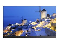 MaxHub Raptor LA138V06 Digital Signage Display