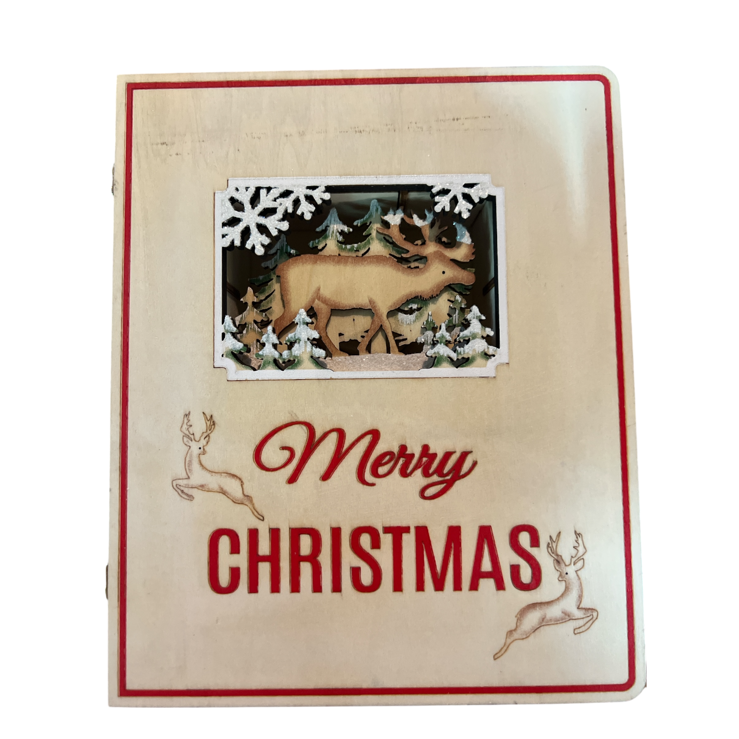 Merry Christmas Advent Book