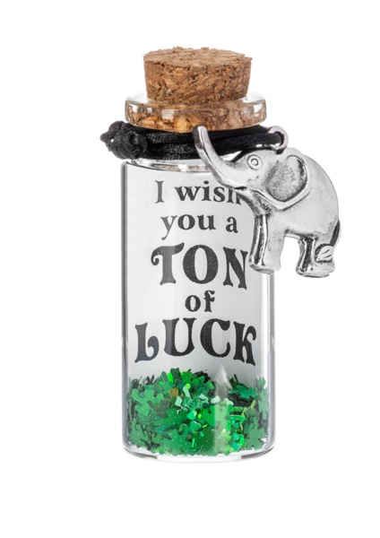 Message In a Bottle Bracelet -