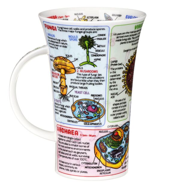 Microbiology Fine Bone China Mug Glencoe Style By Dunoon