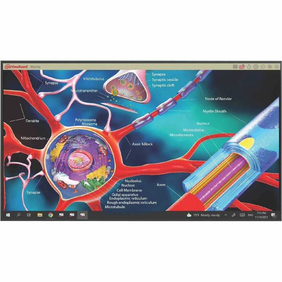 Microsoft Teams Rooms Display - ViewSonic CDE6530-MTR 65" 4K Digital Signage | Collaboration Display