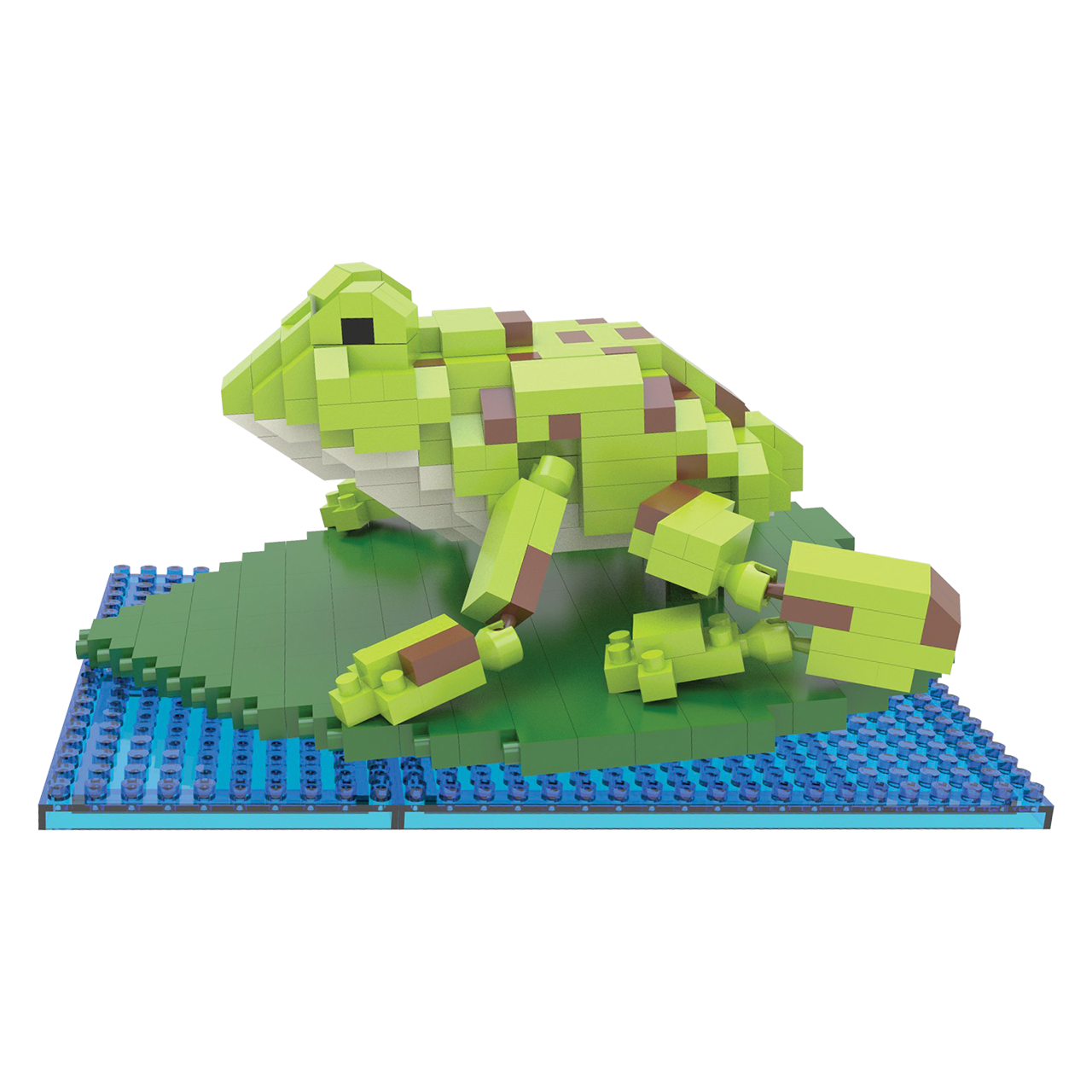 Mini Building Blocks - American Bullfrog