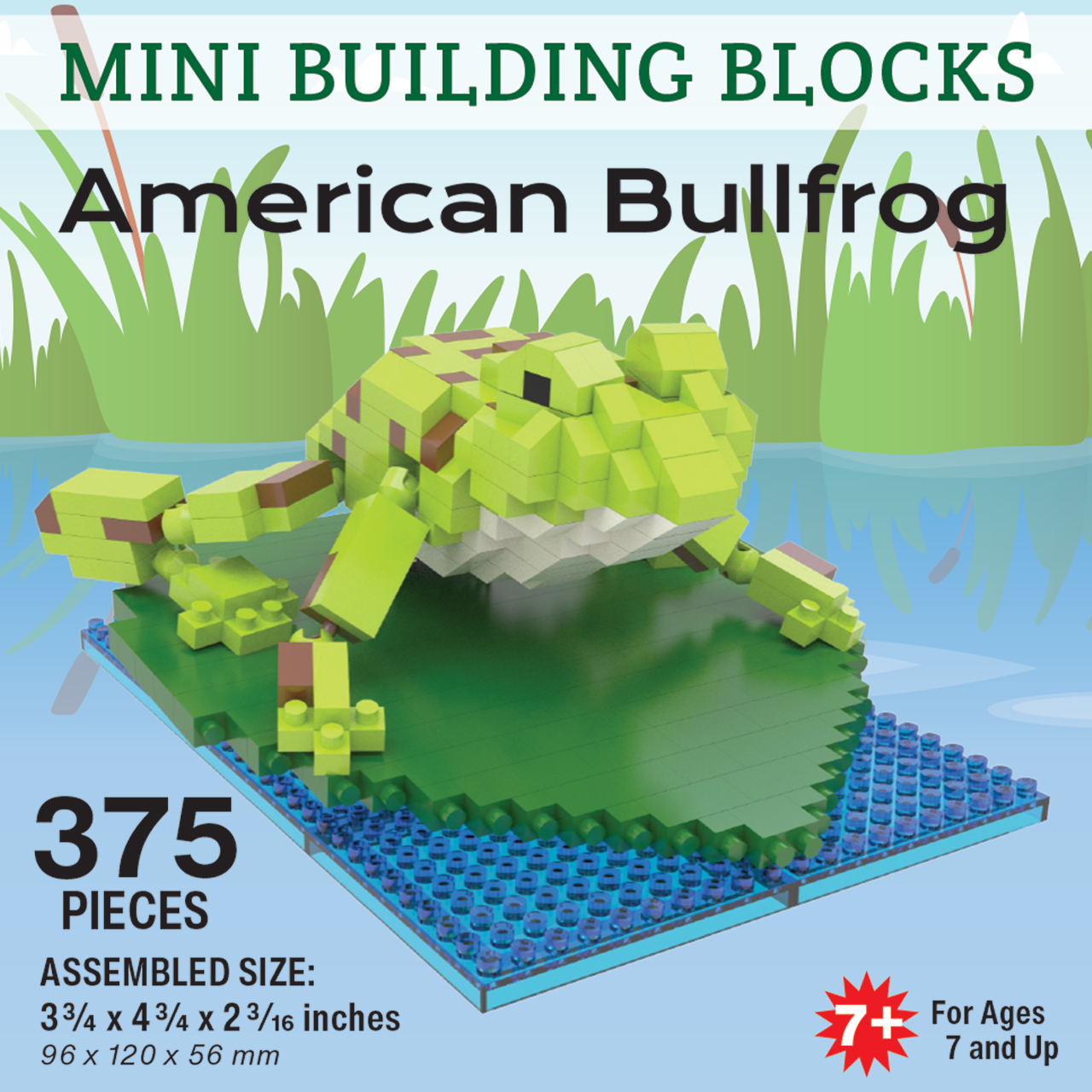 Mini Building Blocks - American Bullfrog