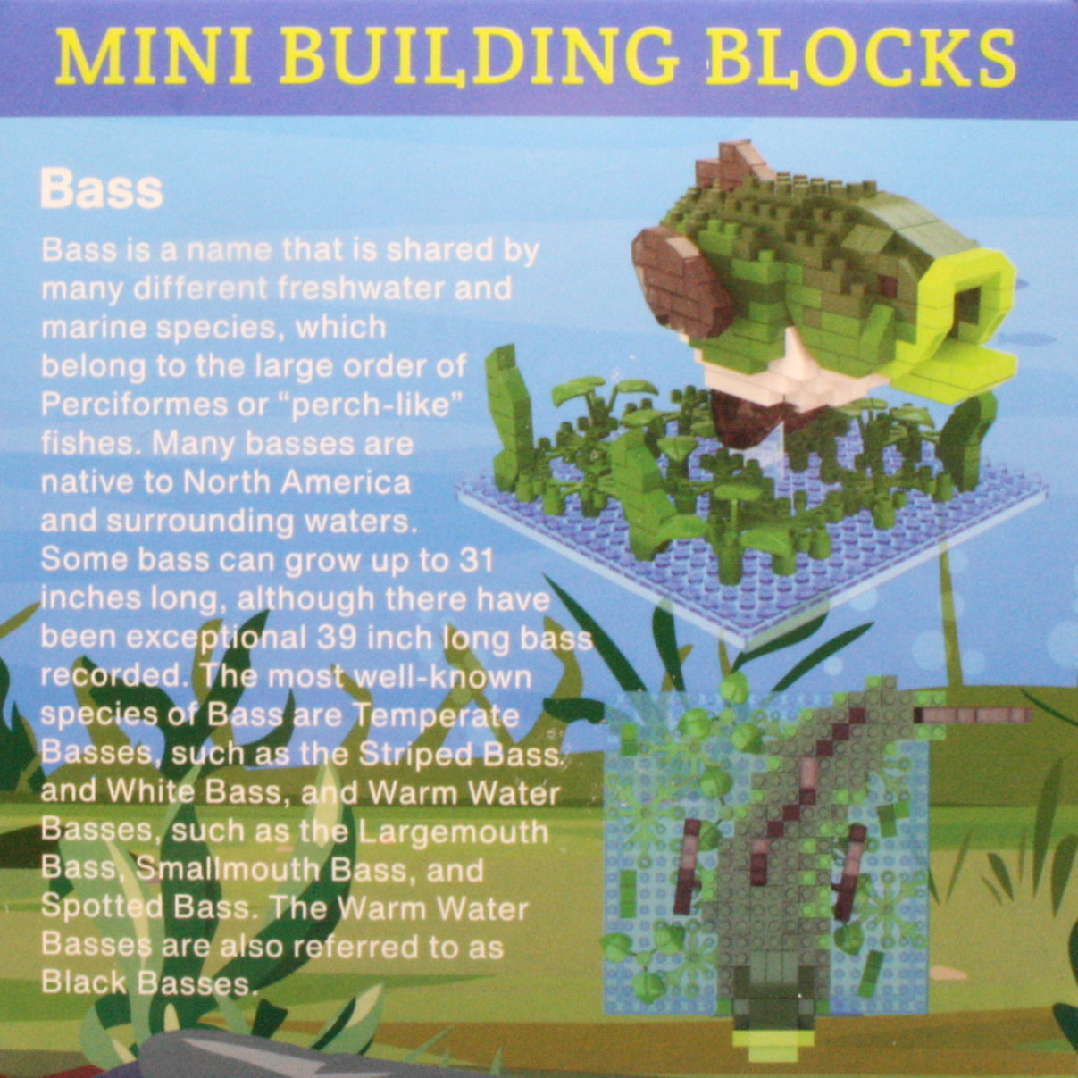 Mini Building Blocks - Bass