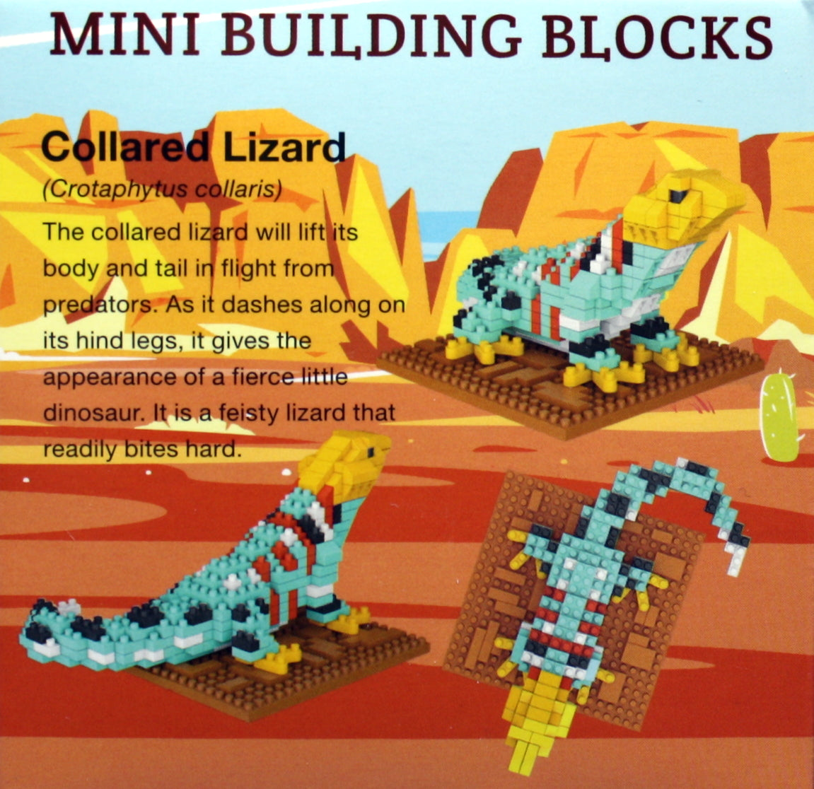 Mini Building Blocks - Collared Lizard