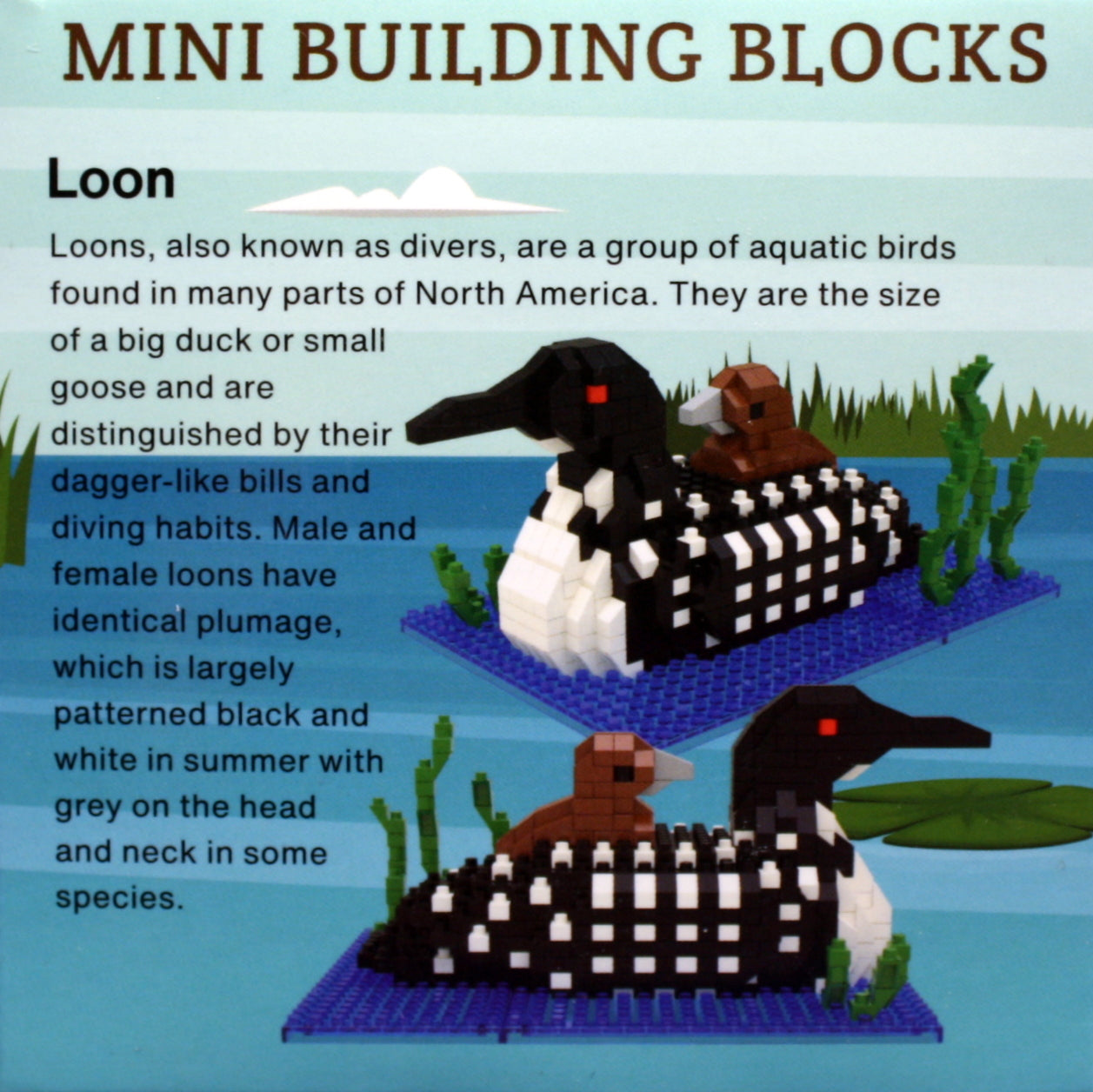 Mini Building Blocks - Loon