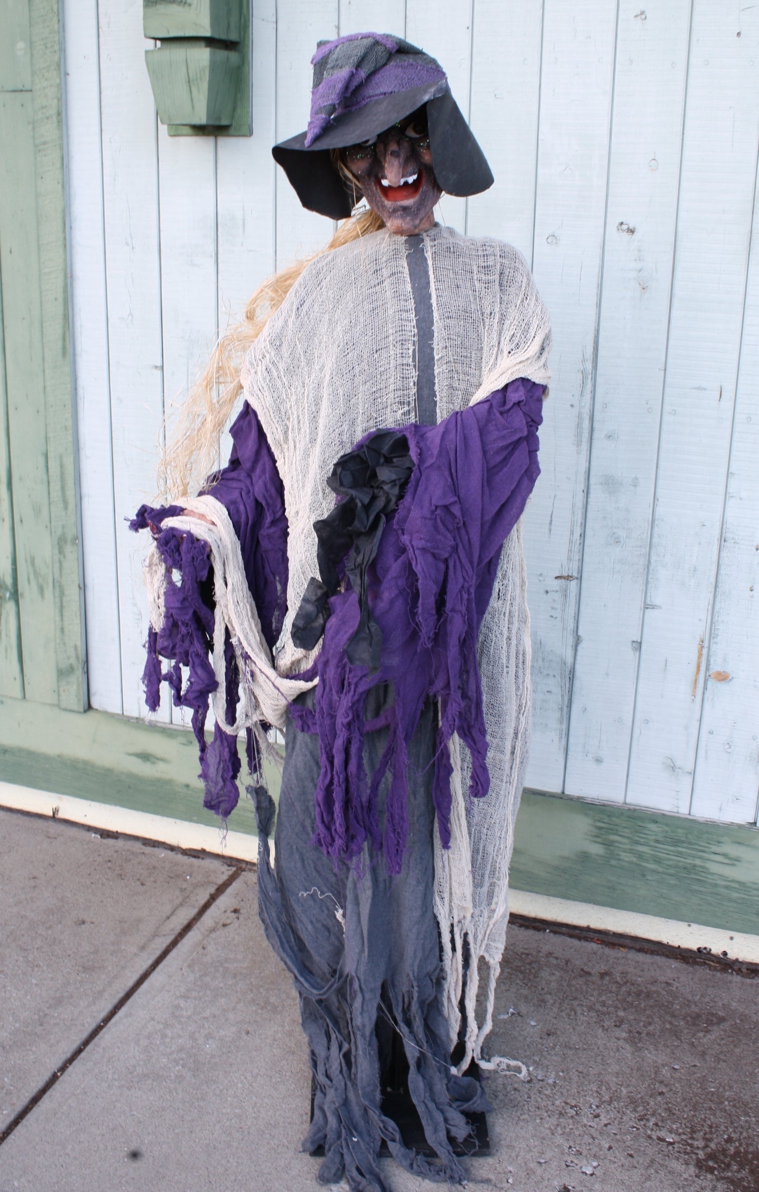 Motion Activated Standing Witch