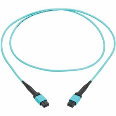 Eaton Tripp Lite N845A-01M-12TAA 100G OM4 Fiber Optic Cable
