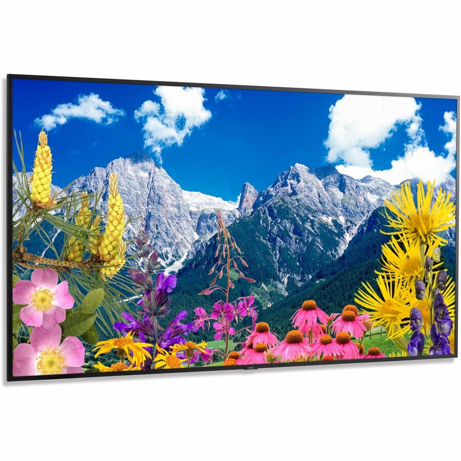 NEC Display 86" Ultra High Definition Professional Display with ATSC/NTSC Tuner - 86" LCD