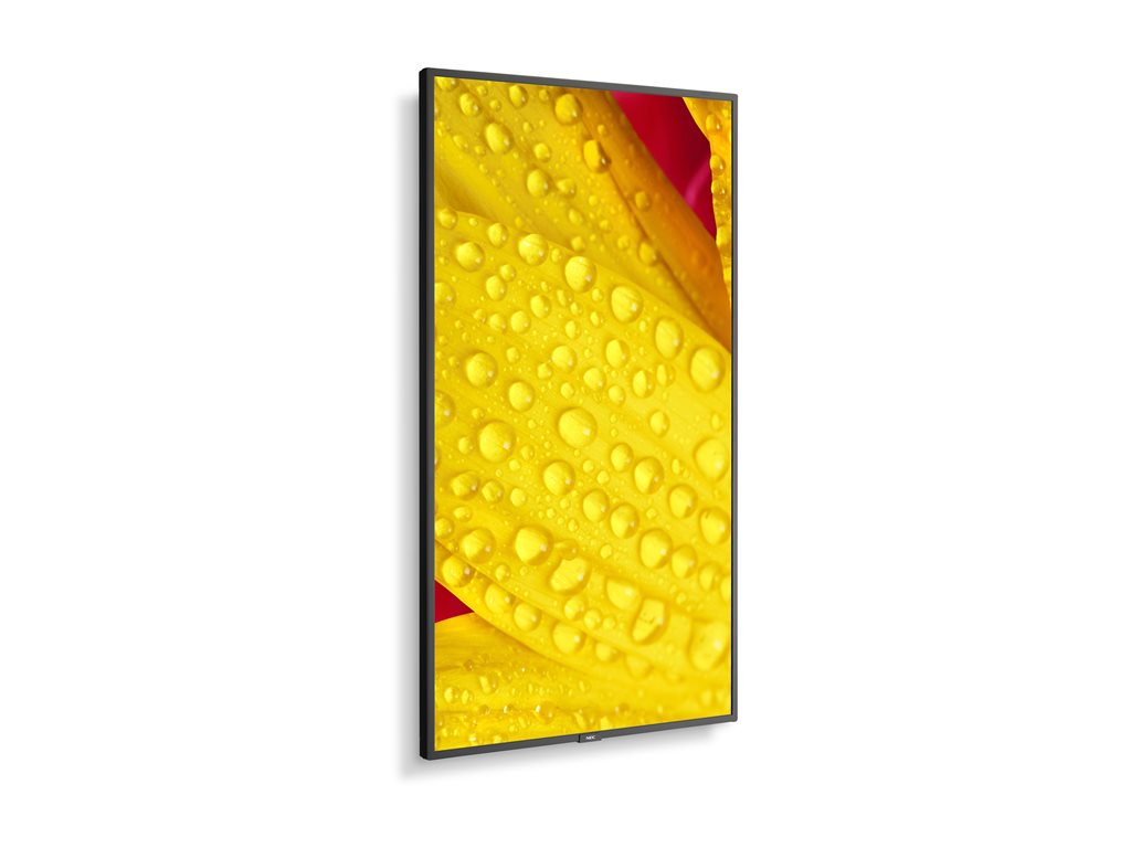 NEC MultiSync M431-2 - 43 Diagonal Class (42.5" viewable) LED-backlit LCD display - digital signage - with built-in media player