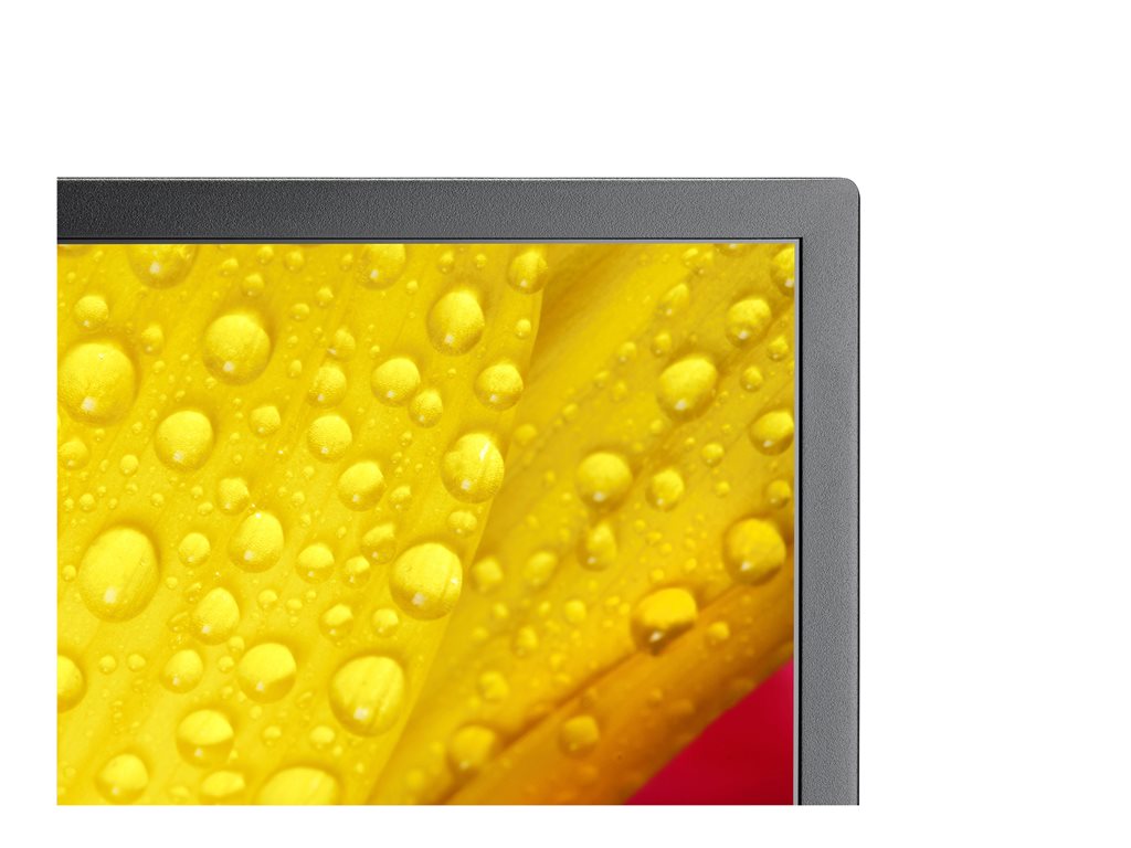 NEC MultiSync M651-2 - 65 Diagonal Class (64.5" viewable) - M Series LED-backlit LCD display - digital signage - 4K UHD (2160p)