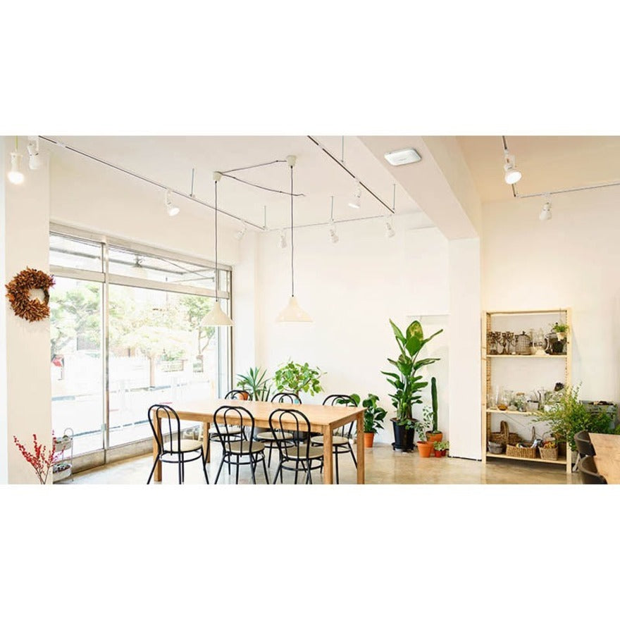 Netgear WAX214 Dual Band IEEE 802.11 a/b/g/n/ac/ax/e 1.76 Gbit/s Wireless Access Point - Indoor WAX214-100NAS