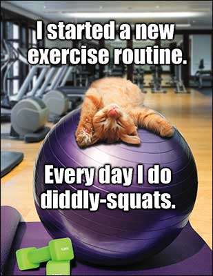 Notion - Diddly-Squats Birthday Card