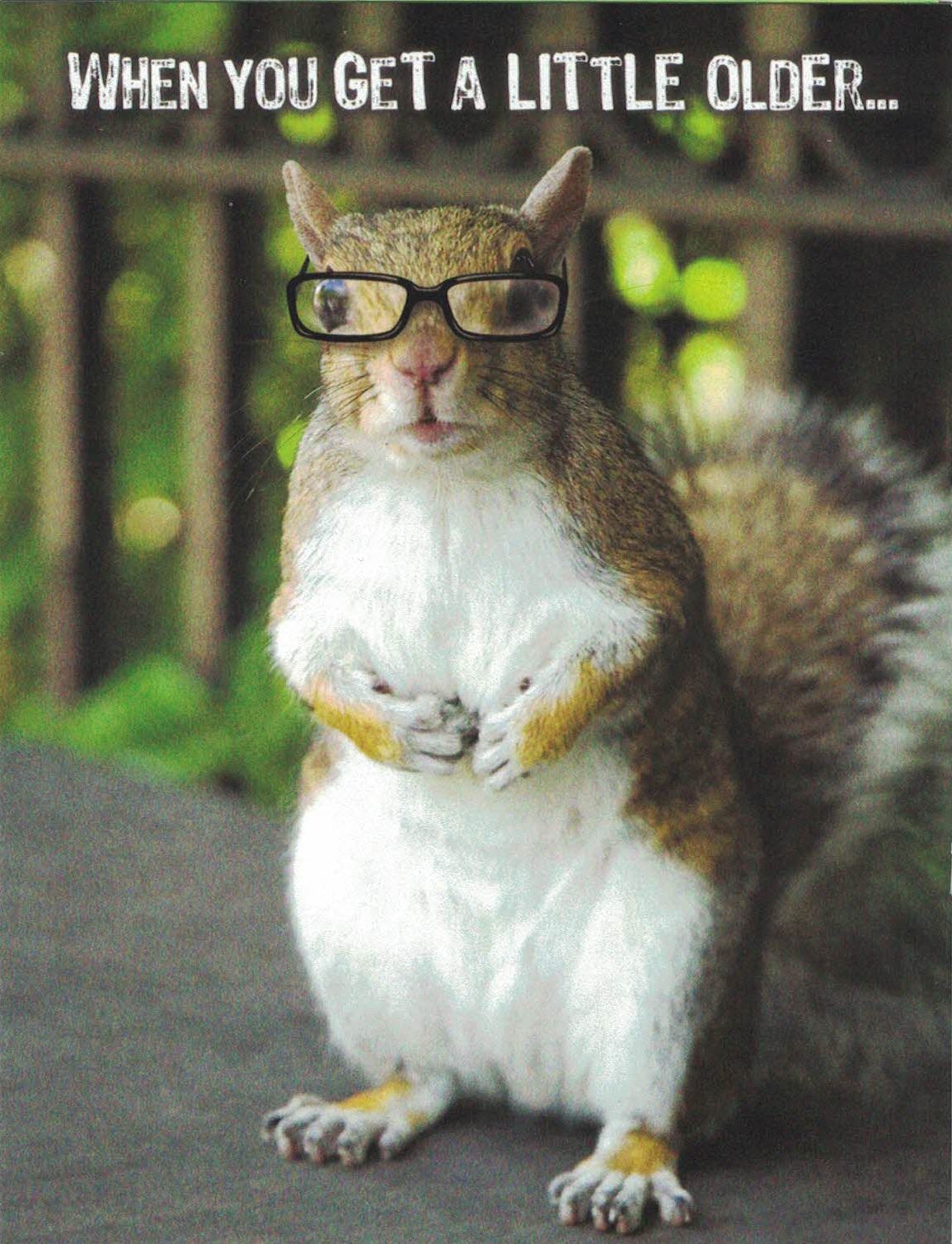 Notion - Little Older Birthday Card