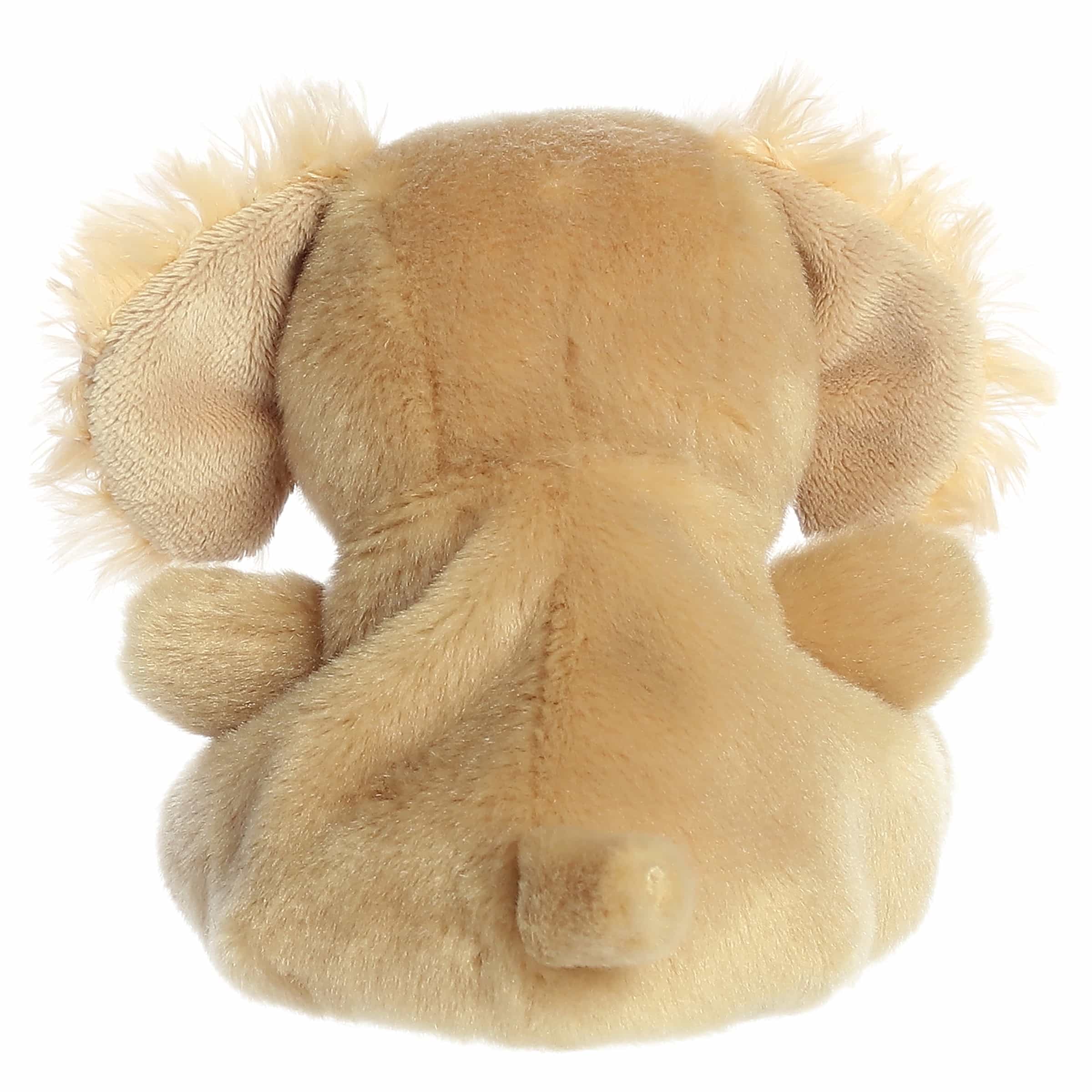 Oatmeal Goldendoodle  Palm Pal