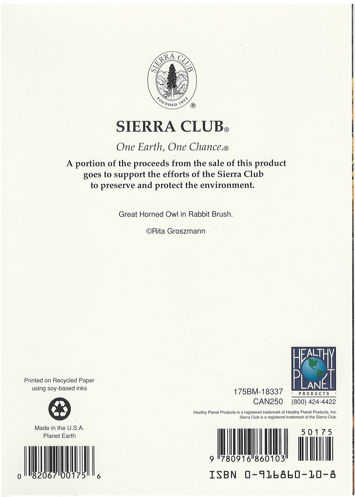 One Earth One Chance Great Horned Owl Blank Card