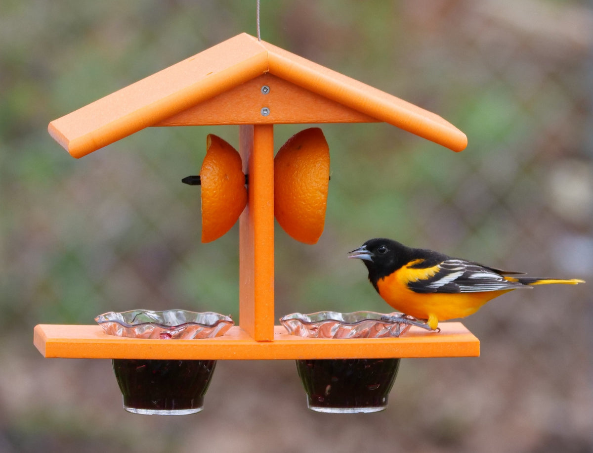 Oriole Bird Feeder, Double-Cup Jelly Oriole Feeder with Pegs for Orange Halves