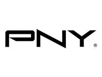 PNY DisplayPort/Mini DisplayPort Audio/Video Cable