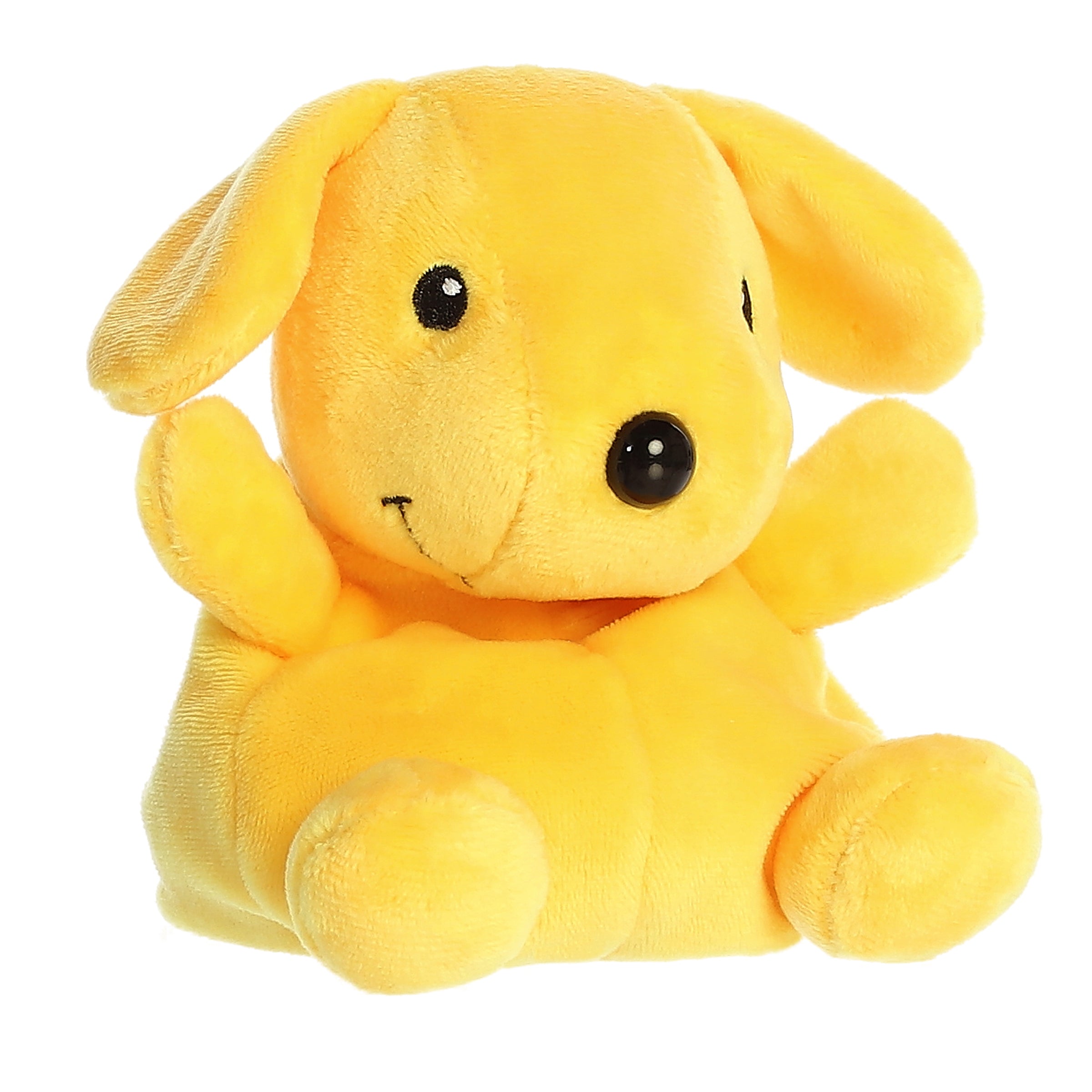 Palm Pal - Fun With Spot Dog - 5 Inch