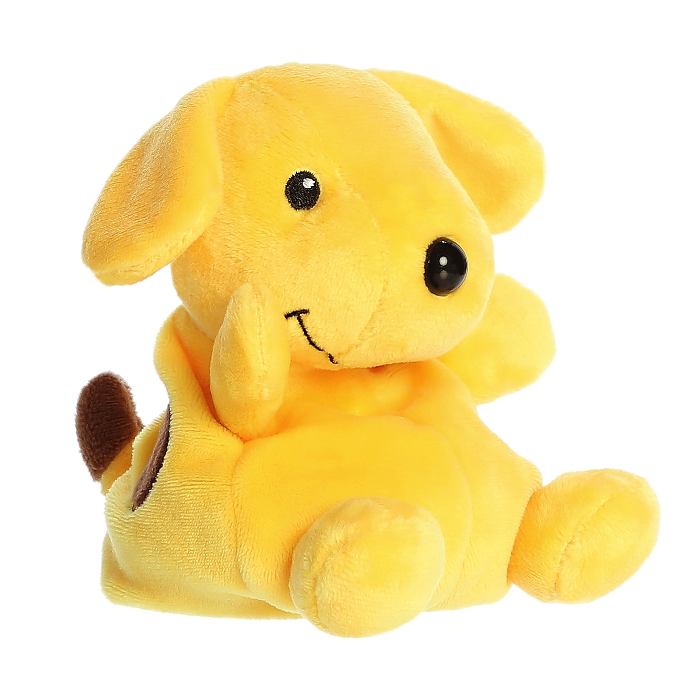 Palm Pal - Fun With Spot Dog - 5 Inch