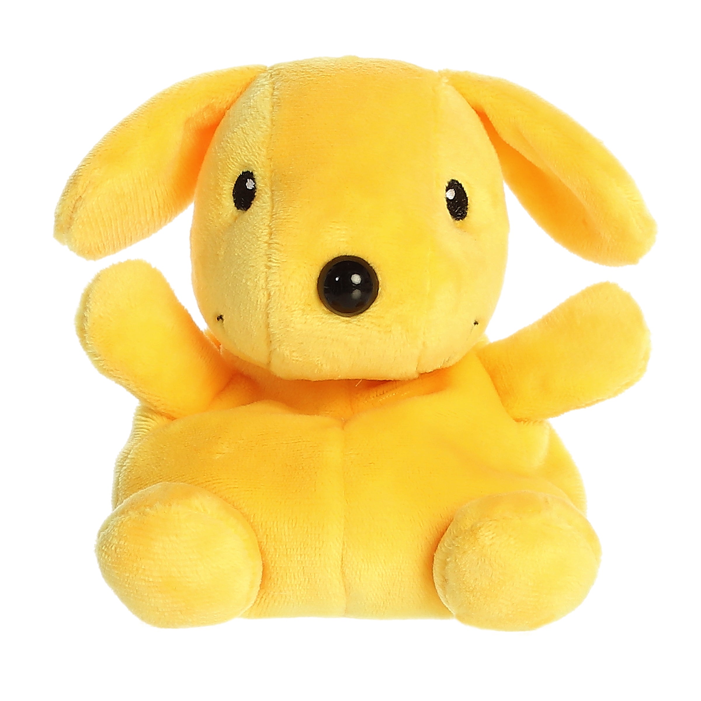 Palm Pal - Fun With Spot Dog - 5 Inch