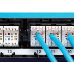 Panduit Data Patch Replacement Wire Cap