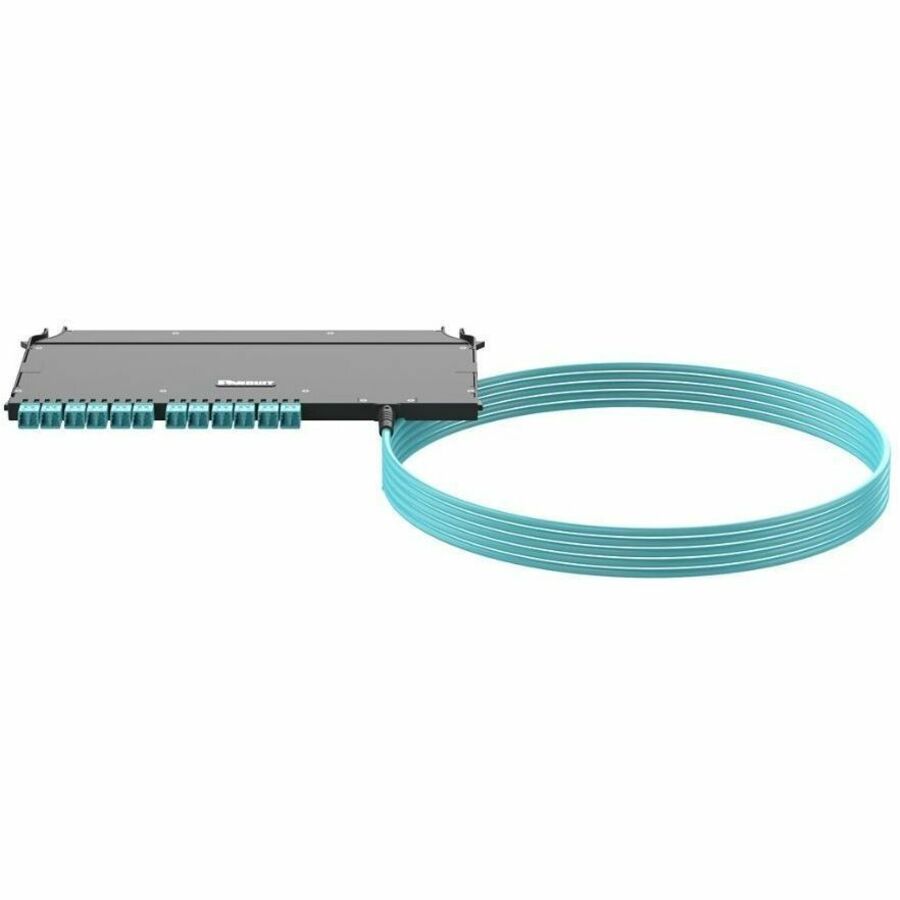 Panduit FZUYPXRNNNNF050 OM4 Fiber Cassette