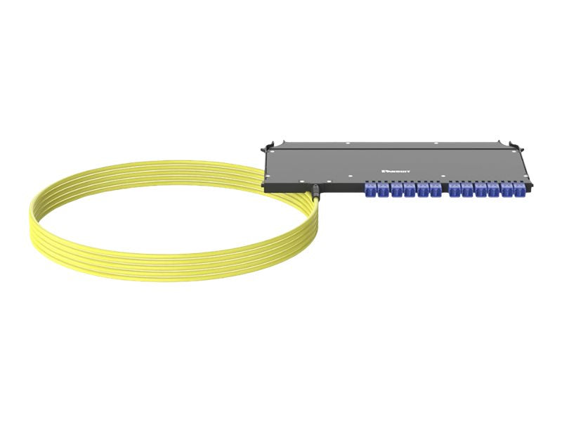 Panduit FlexCore - Pre-terminated fiber optic cassette with pigtail - indoor - 33 ft - LC MM X 24 - black F9UYBXLNNSNM010