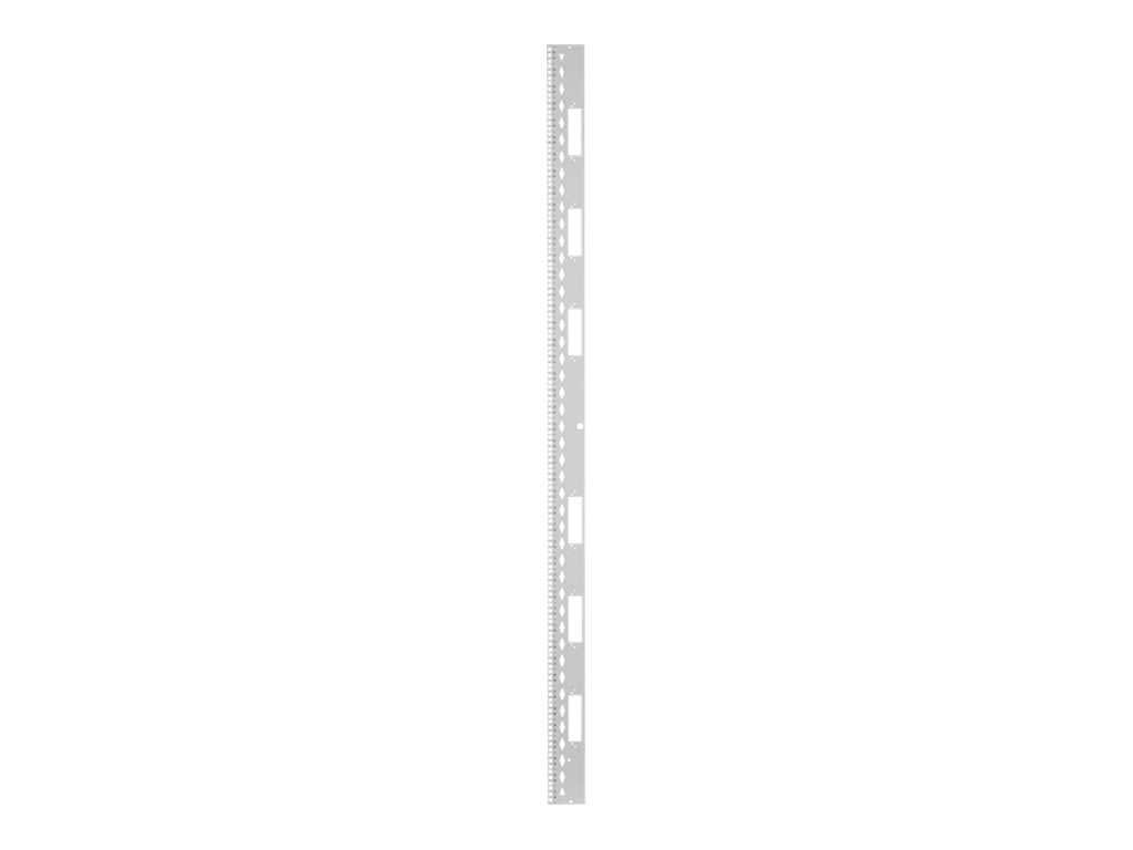 Panduit FlexFusion - Rack rail kit - white - 42U XG-RKS642W