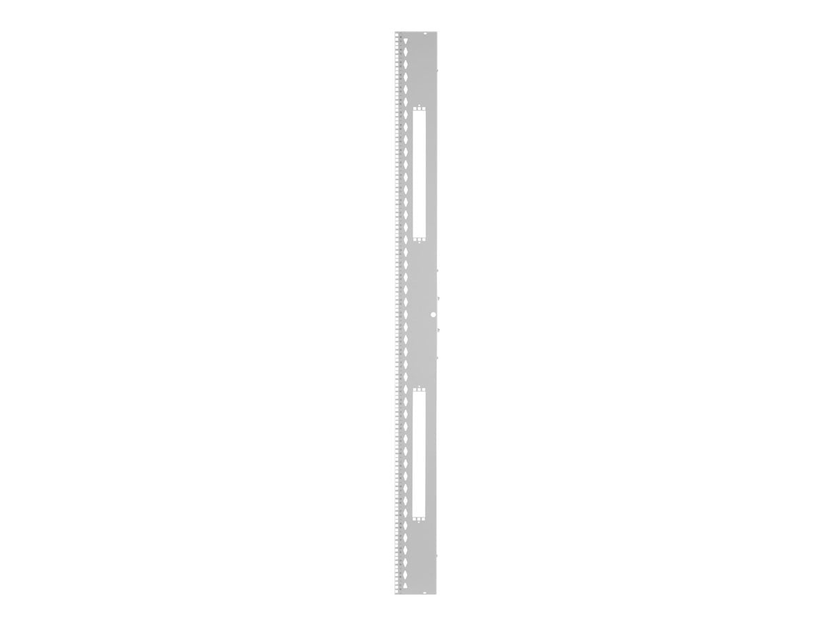 Panduit FlexFusion - Rack rail kit - white - 42U XG-RKS842W