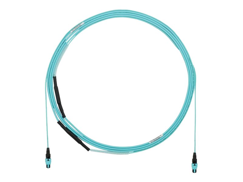 Panduit HD Flex - Trunk cable - PanMPO multi-mode (F) to PanMPO multi-mode (F) - 30 m - 0.2 in - fiber optic - 50 / 125 micron FYXUP77X002M030