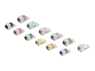 Panduit MINI-COM - Modular insert - keyed H/Non-keyed, lntl Wht module - LC Duplex - aqua CMDHAQAQDLCZIW