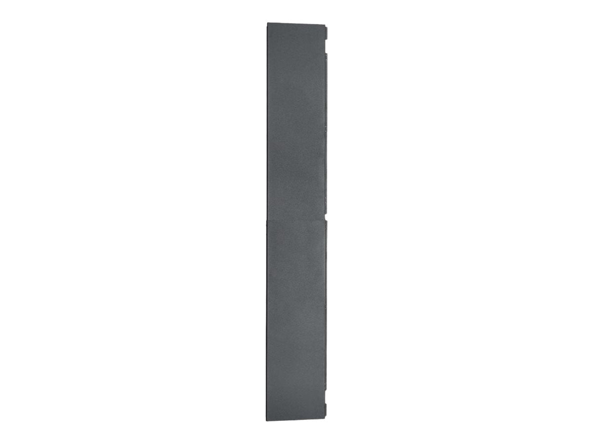 Panduit Net-Access - Rack panel - partial depth - side - black - 51U SPSPNL